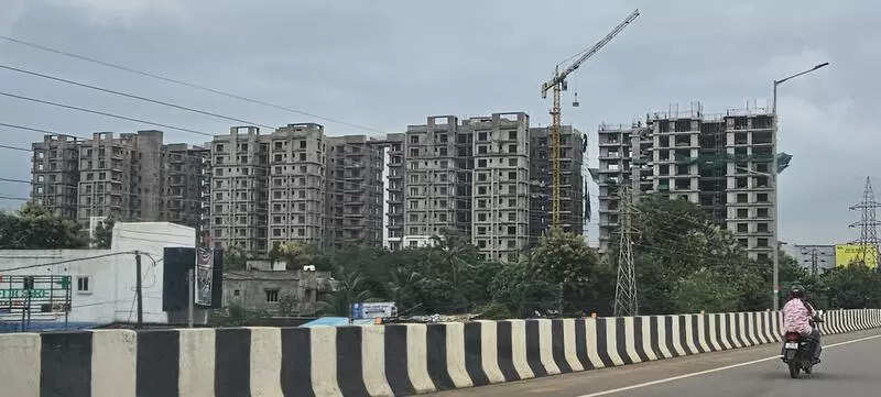 <p>representative image</p>