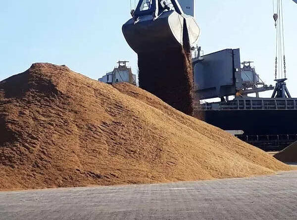 SHRC orders probe into dust nuisance from M-sand sales centre in Kollam, ET RealEstate