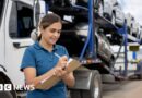 UK-US tariff deal: Cars, steel and beef