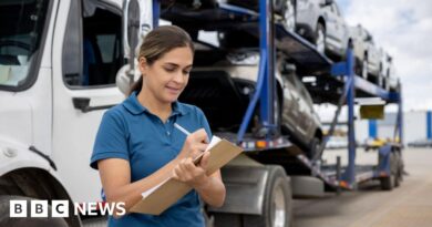 UK-US tariff deal: Cars, steel and beef