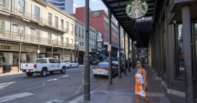 New Orleans Downtown Development District picks new CEO | Business News