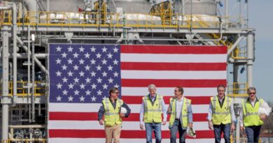 Cameron LNG facility gets $3 billion in loan commitments | Business News