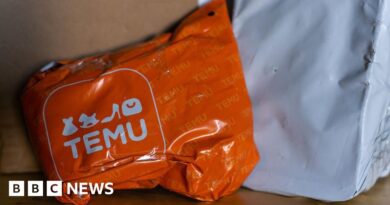 Temu to stop selling goods from China directly to US customers