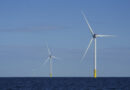 States sue Trump over wind energy permit freeze
