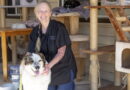 From Healing Hands to Happy Paws: Rimrock Grandmother Finds New Calling in Pet Grooming