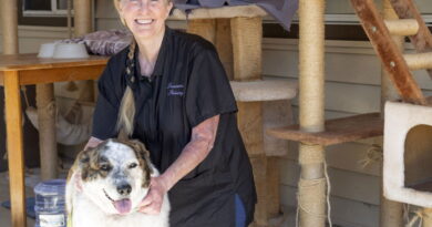 From Healing Hands to Happy Paws: Rimrock Grandmother Finds New Calling in Pet Grooming