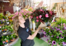 Mother’s Day business is blooming for area shops | News, Sports, Jobs
