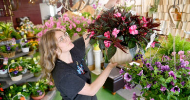 Mother’s Day business is blooming for area shops | News, Sports, Jobs