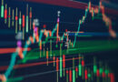 Price volatility hits business confidence